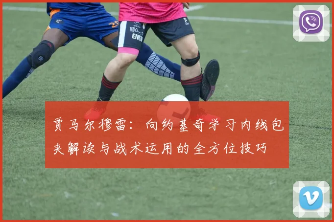 贾马尔穆雷：向约基奇学习内线包夹解读与战术运用的全方位技巧