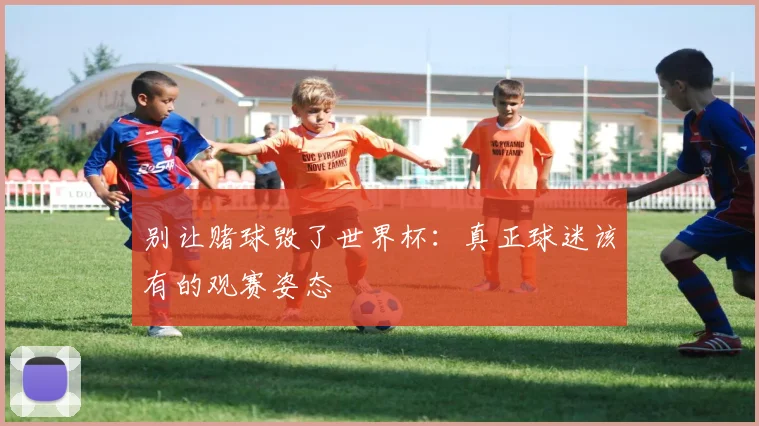 别让赌球毁了世界杯：真正球迷该有的观赛姿态