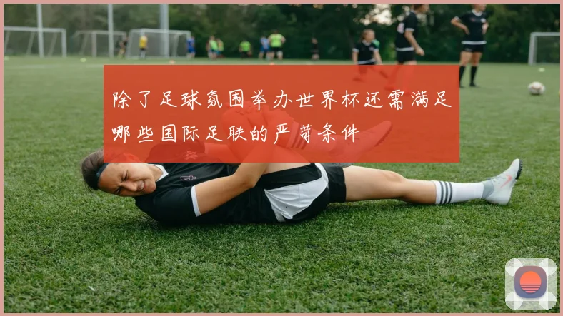 除了足球氛围举办世界杯还需满足哪些国际足联的严苛条件