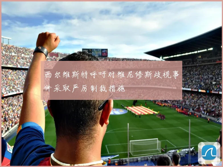 西尔维斯特呼吁对维尼修斯歧视事件采取严厉制裁措施