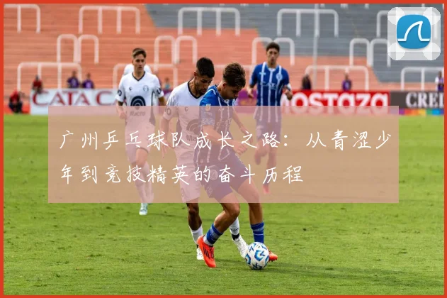 广州乒乓球队成长之路：从青涩少年到竞技精英的奋斗历程